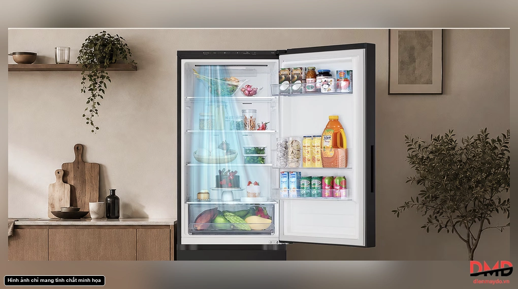 Tủ lạnh LG Inverter 335 lít B33BG