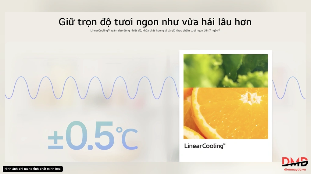 Tủ lạnh LG Inverter 340 lít B33BGA