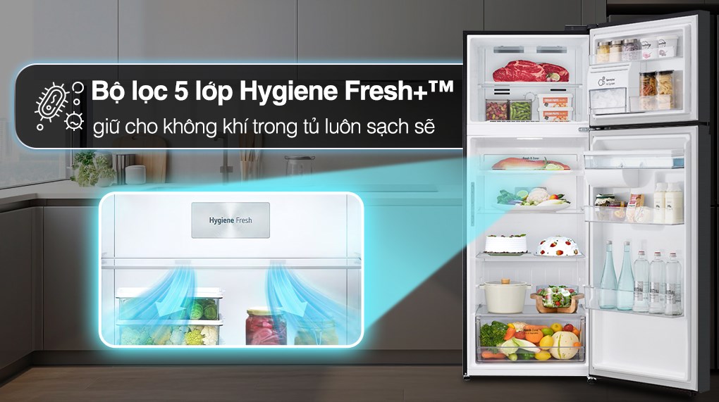 Tủ lạnh LG Inverter 459 lít LTD46BLMA