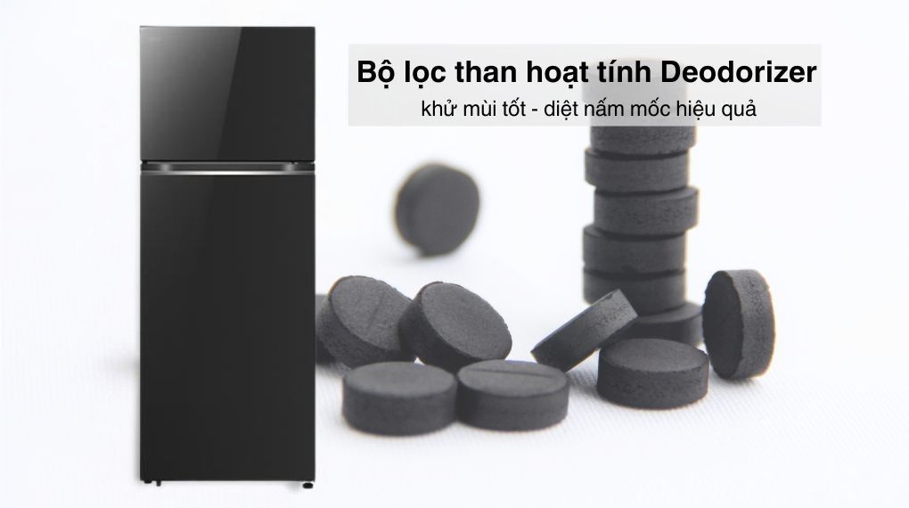 Tủ lạnh LG Inverter 461 lít LTB46BLG