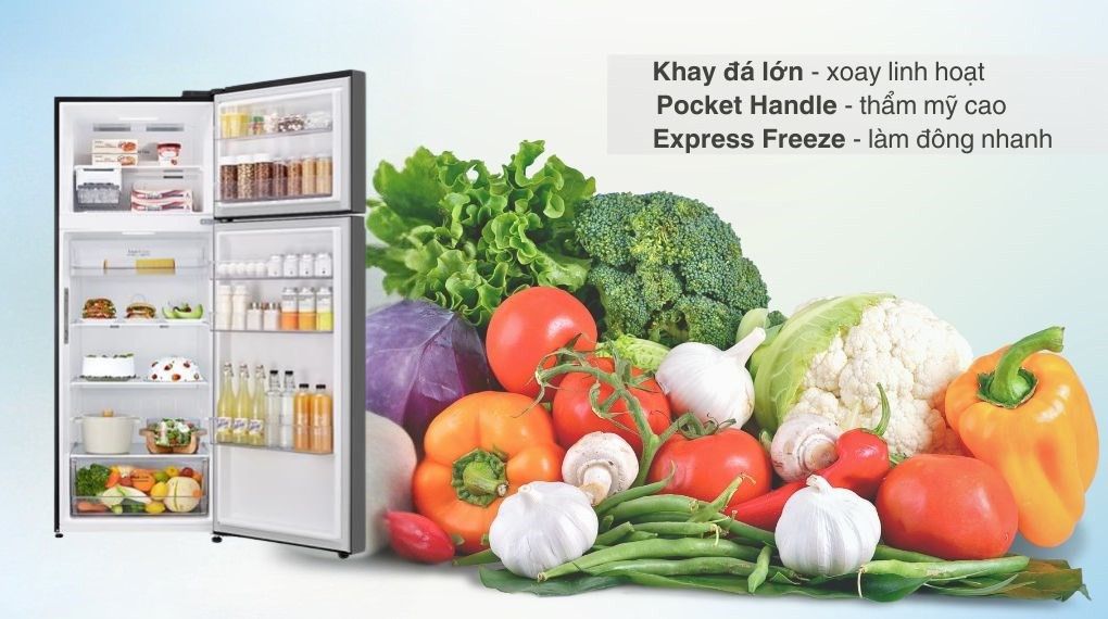 Tủ lạnh LG Inverter 461 lít LTB46BLG