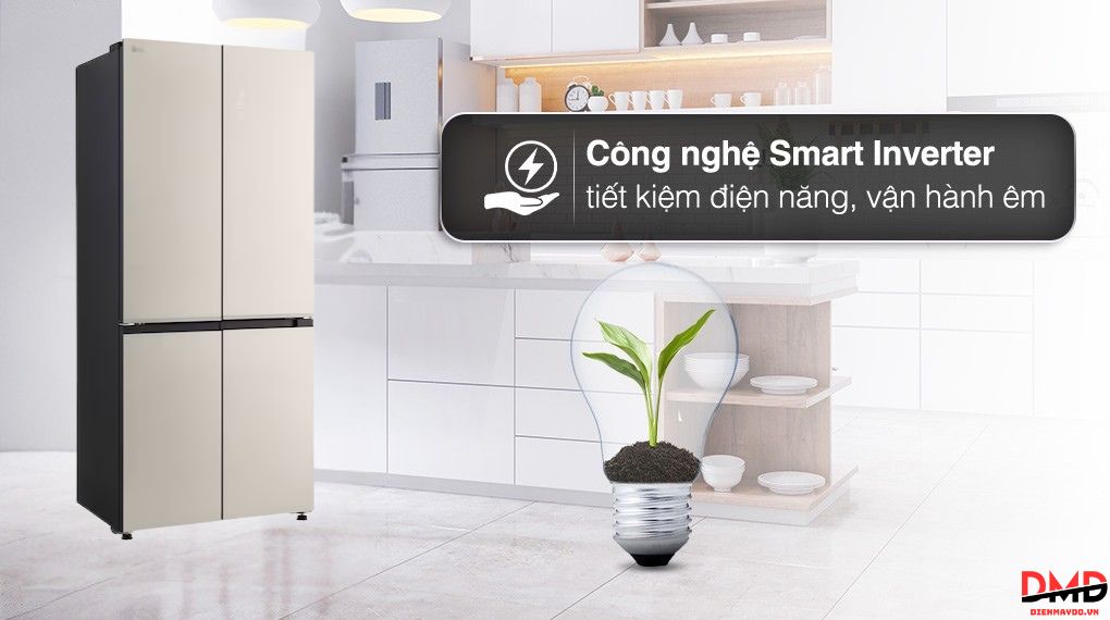 Tủ lạnh LG Inverter Multi Door 510 lít F51EG