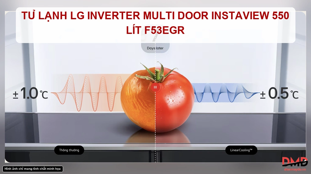 Tủ lạnh LG Inverter Multi Door InstaView 550 lít F53EGR