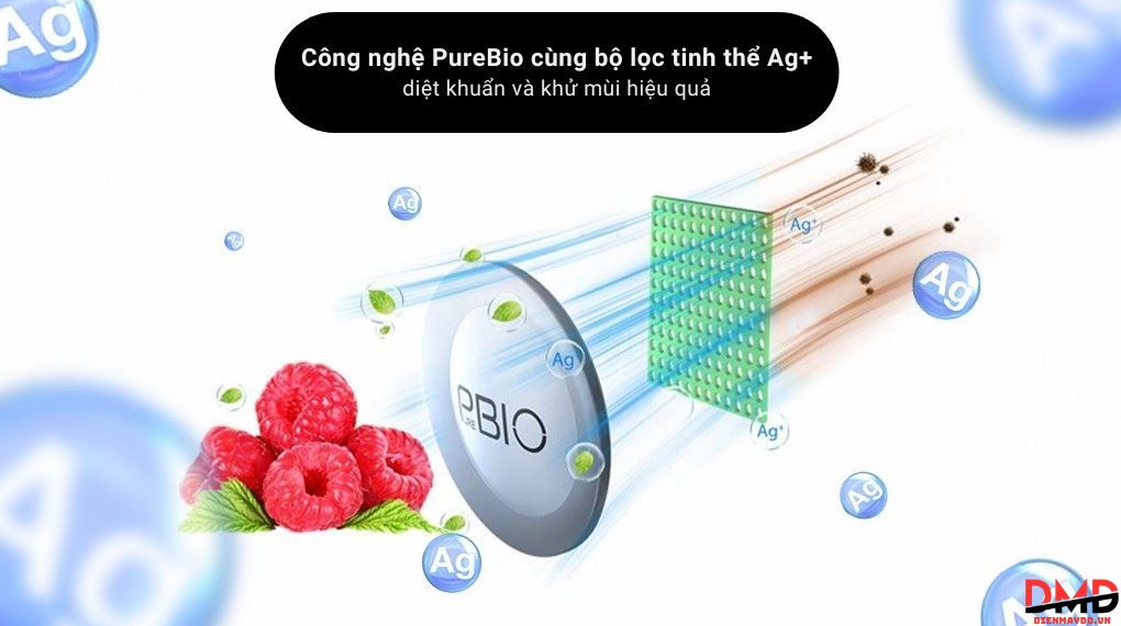 Tủ lạnh Toshiba 555 lít có phù hợp gia đình đông người?