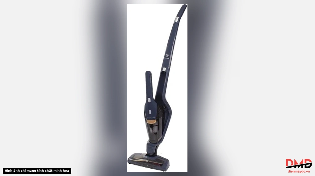 Full angled view of Máy hút bụi Electrolux ZB3513DB standing upright