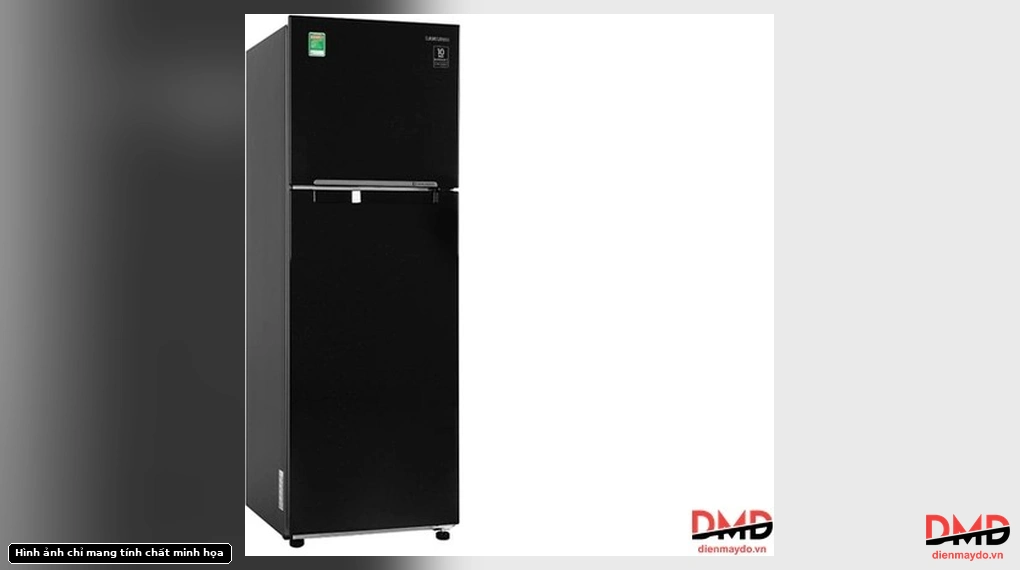 Angled front view of Tủ lạnh Samsung Inverter 256 lít RT25M4032BU/SV