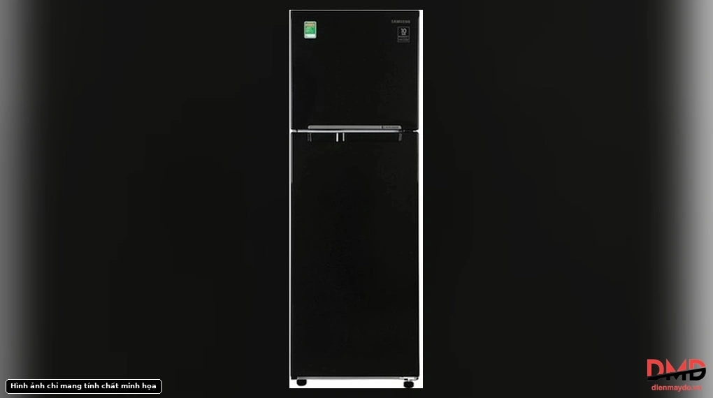 Front view of Tủ lạnh Samsung Inverter 256 lít RT25M4032BU/SV with doors closed