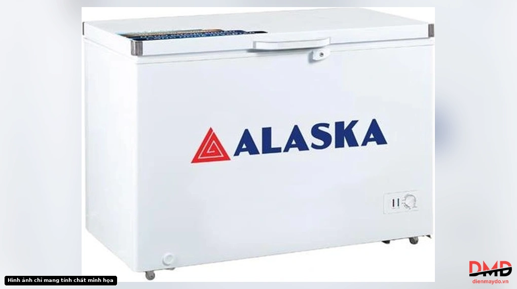 Angled view of Tủ đông Alaska 355 lít BD-400C closed