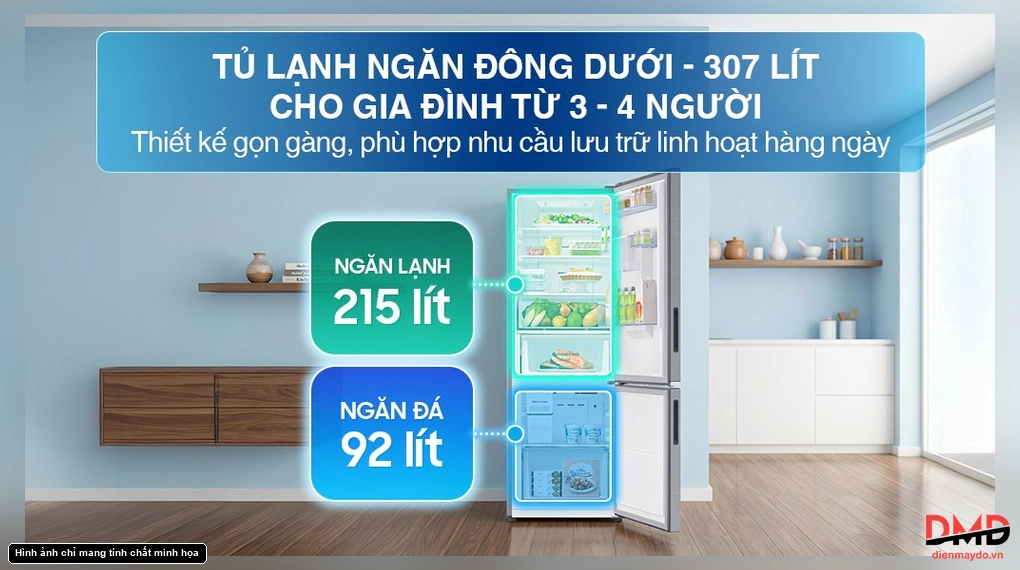 Không gian ngăn mát và ngăn đông của tủ lạnh ngăn đá dưới 307 lít