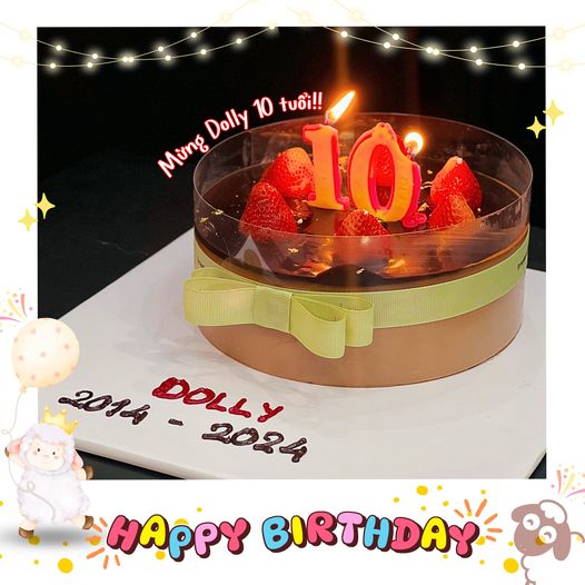 🎂 CHÚC MỪNG SINH NHẬT DOLLY BOUTIQUE - COSMETICS 10 TUỔI (2014 - 2024) 🎉