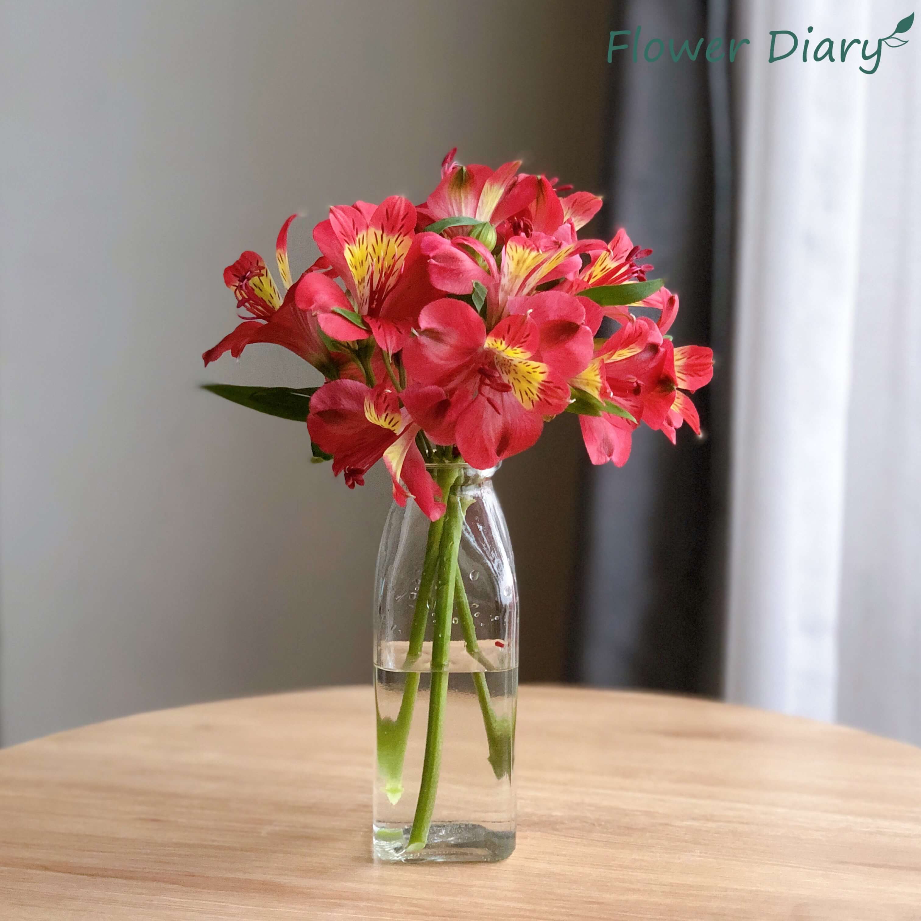 Bình cắm hoa mini M:3cm H:15cm