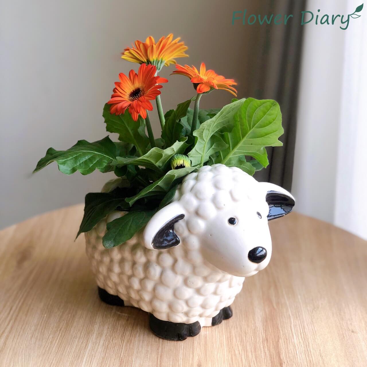 Chậu trồng cây hình cừu