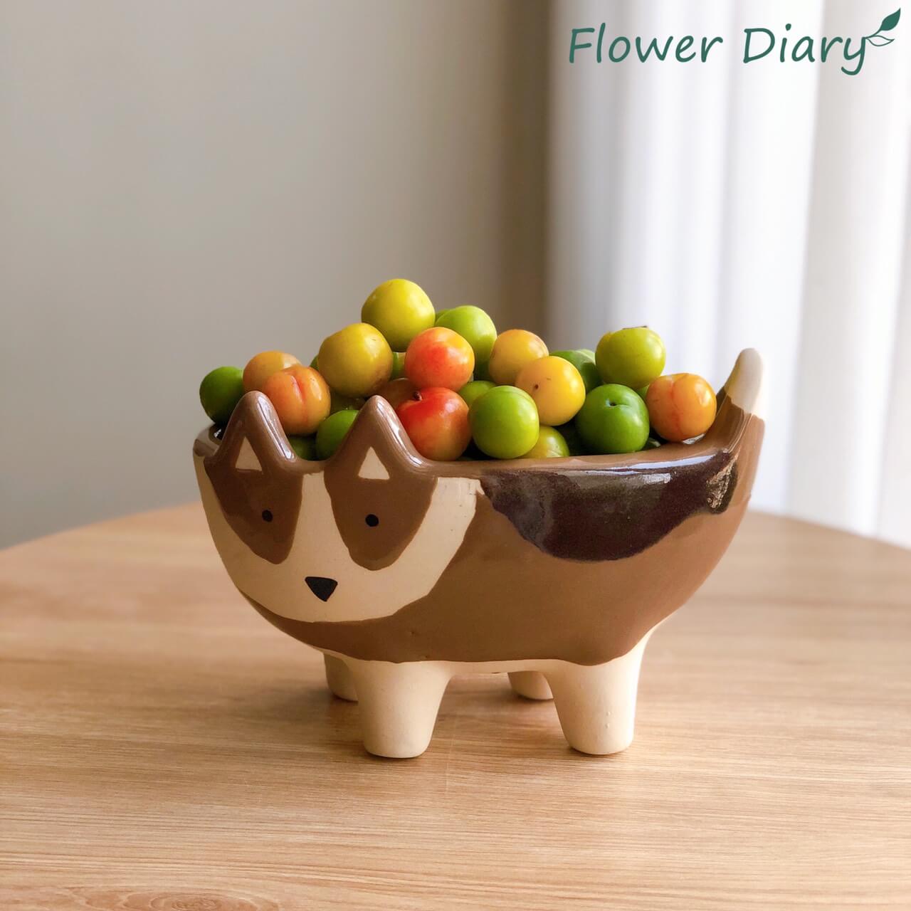 Chậu trồng cây I Bát trang trí hình cún nâu