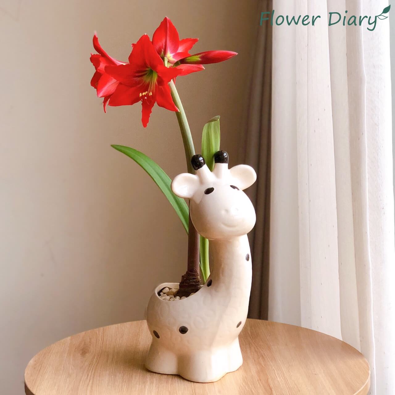 Chậu trồng cây hình hươu cao cổ