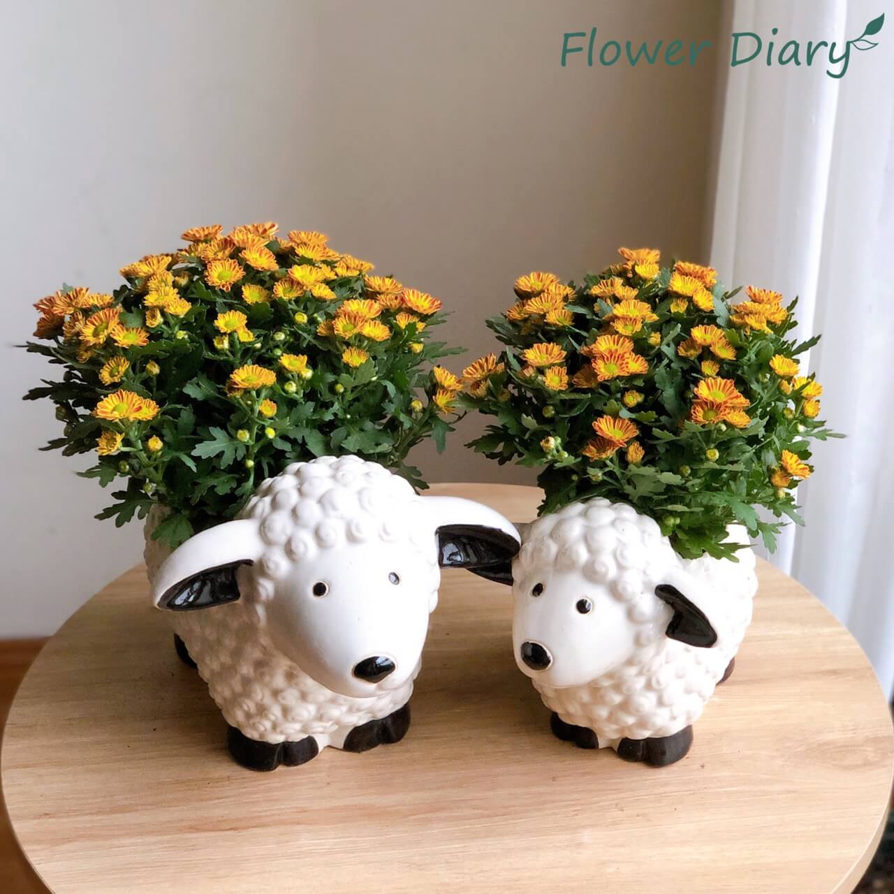 Chậu trồng cây hình cừu