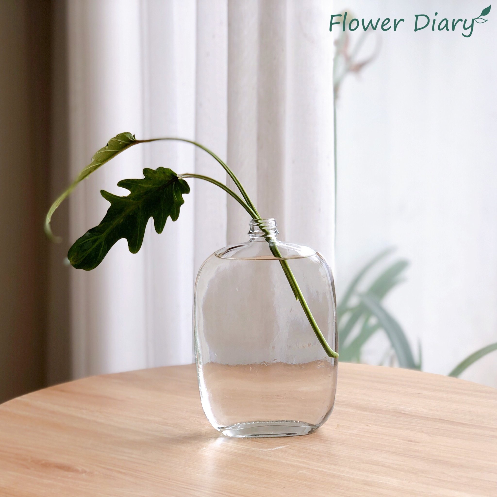 Bình thuỷ tinh dẹt M:2cm H:18cm (500ml)