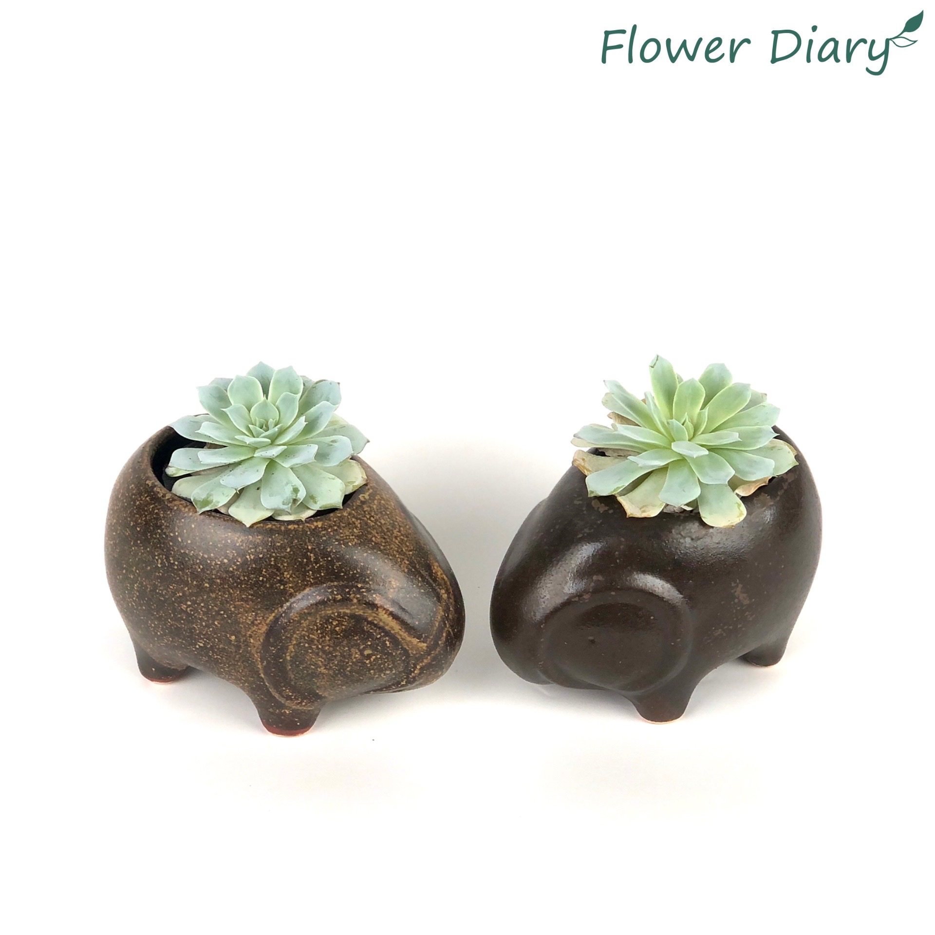 Chậu trồng cây hình động vật xinh xắn