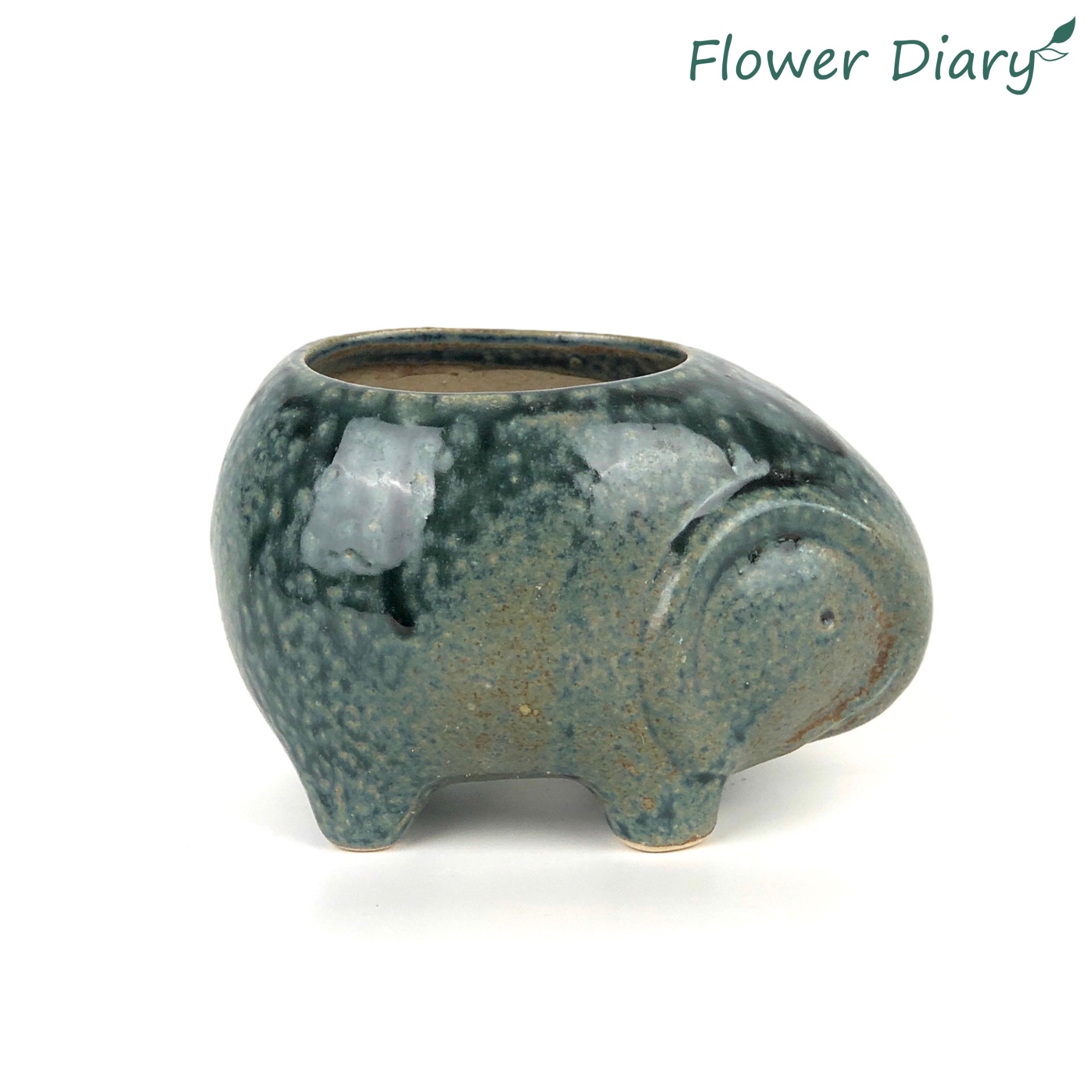 Chậu trồng cây hình động vật xinh xắn