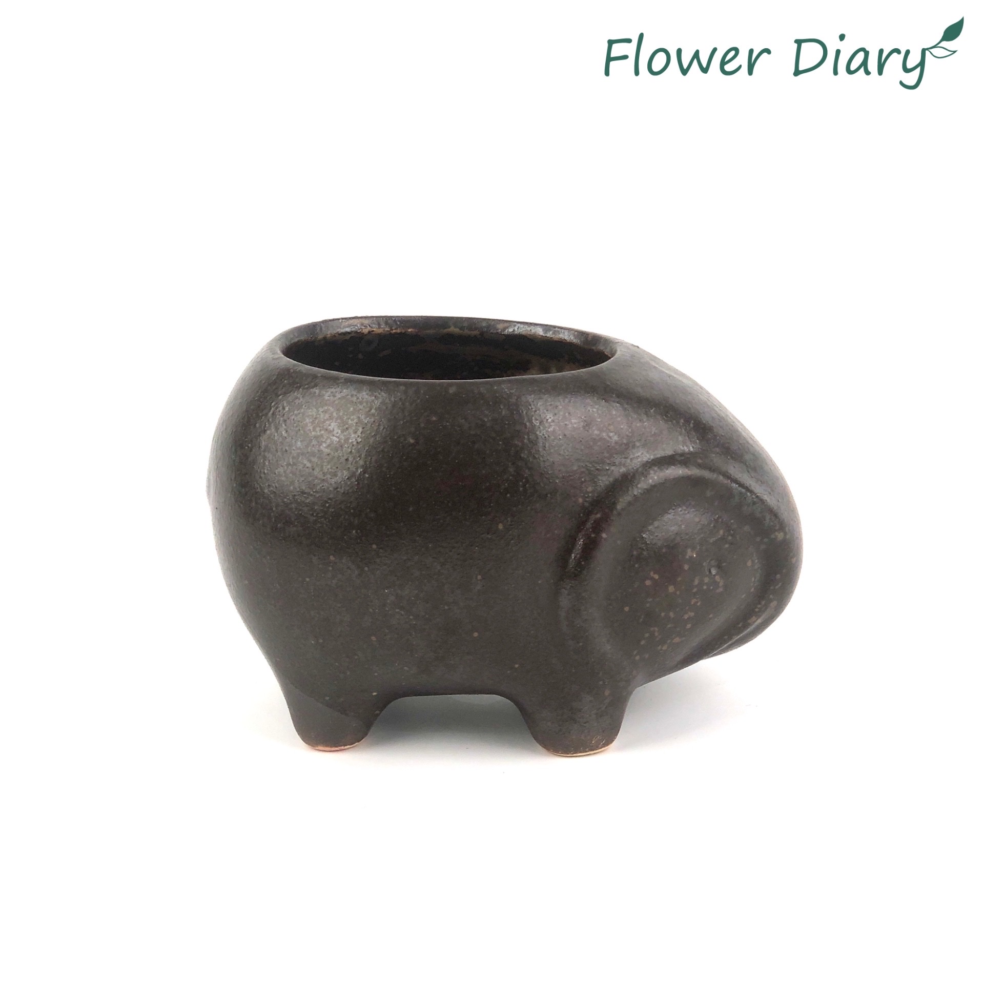 Chậu trồng cây hình động vật xinh xắn