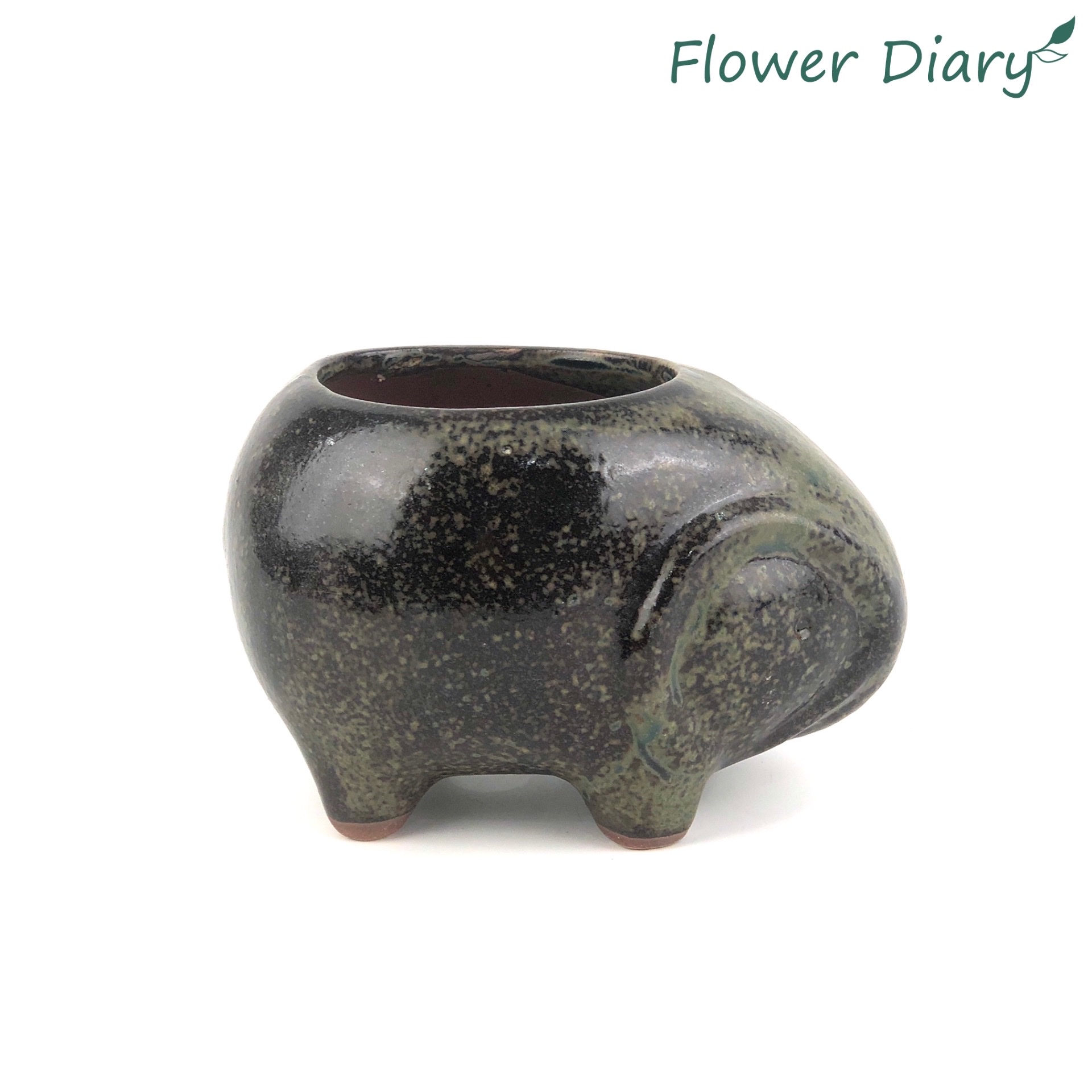 Chậu trồng cây hình động vật xinh xắn