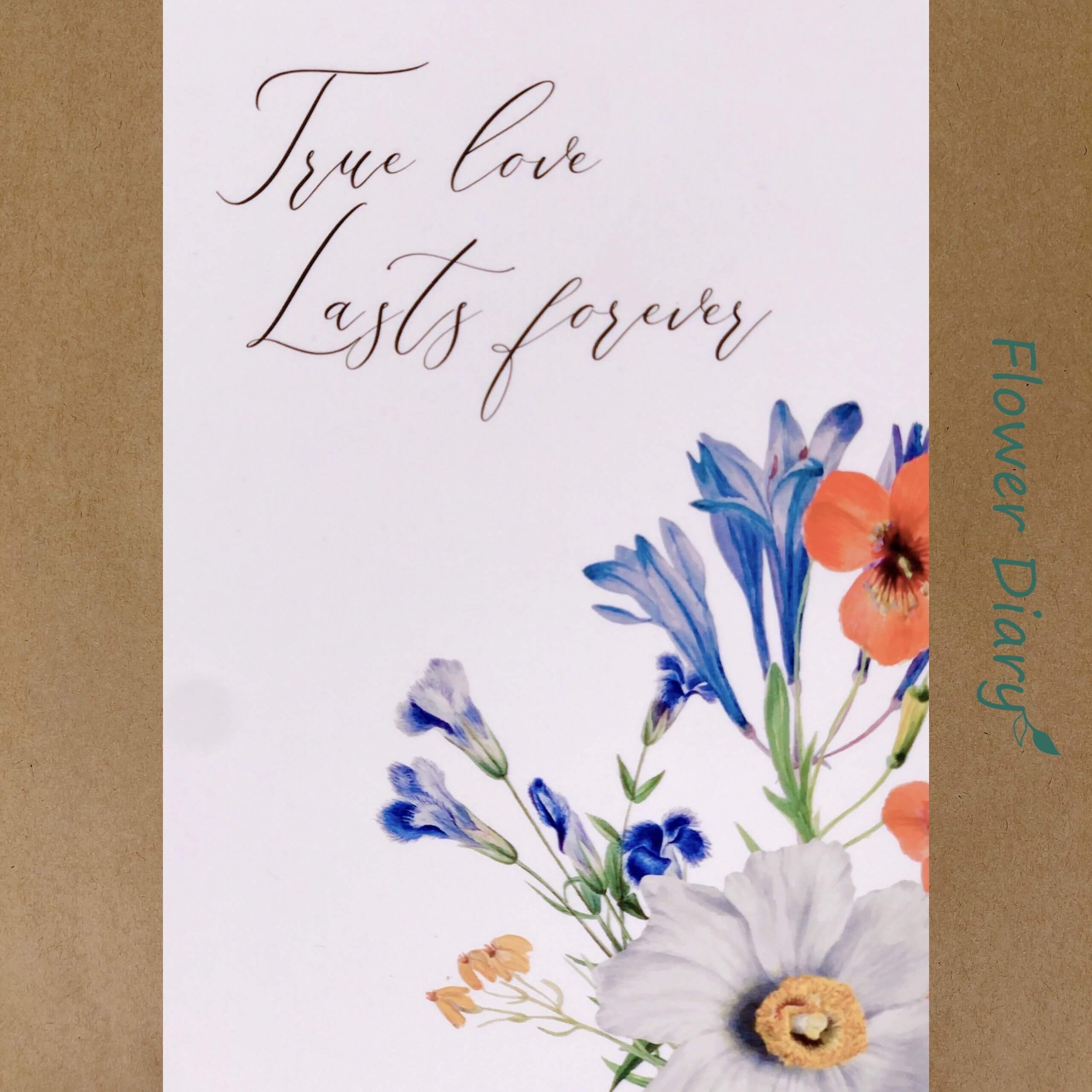 Thiệp chúc mừng 8.4x12.4cm