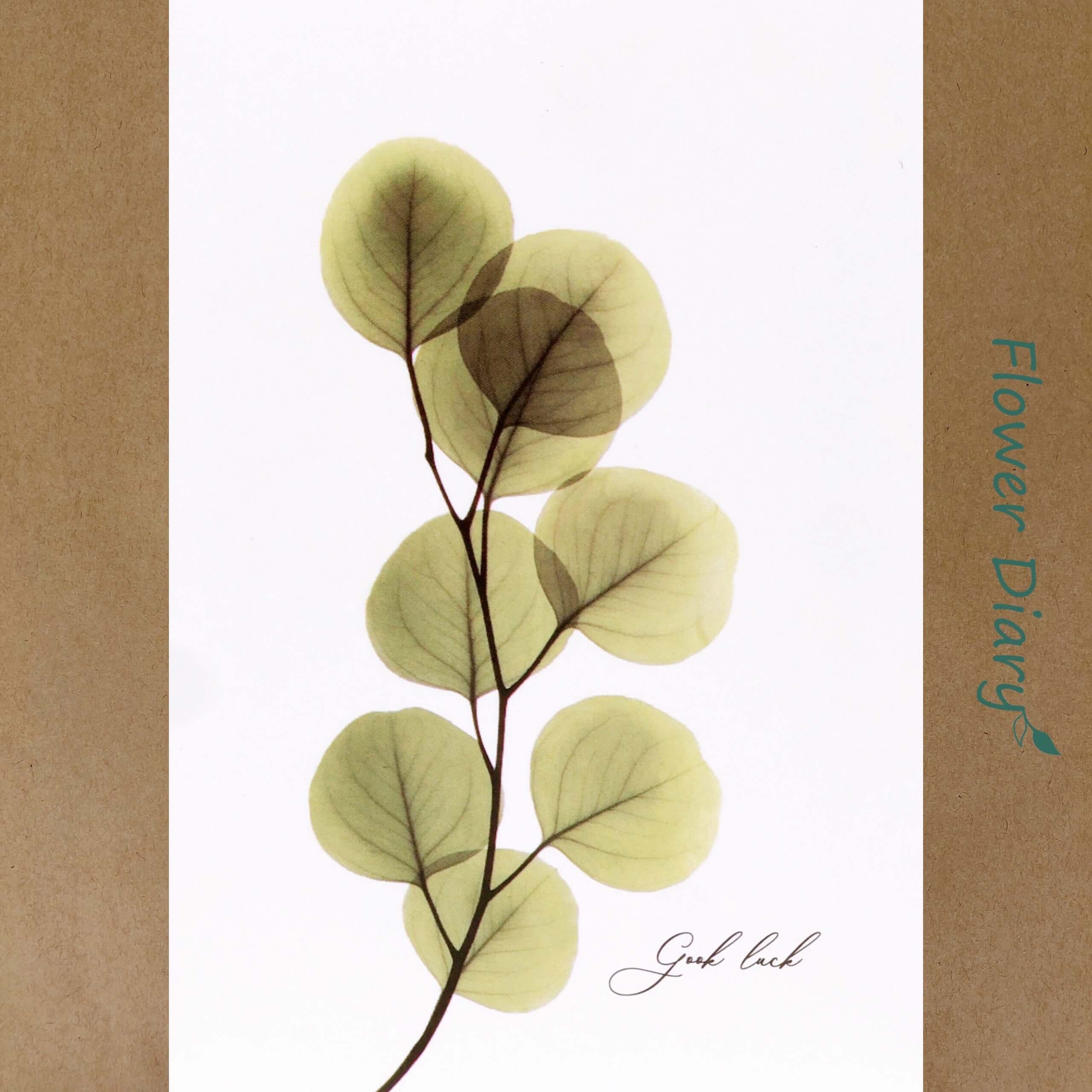 Thiệp chúc mừng 8.4x12.4cm