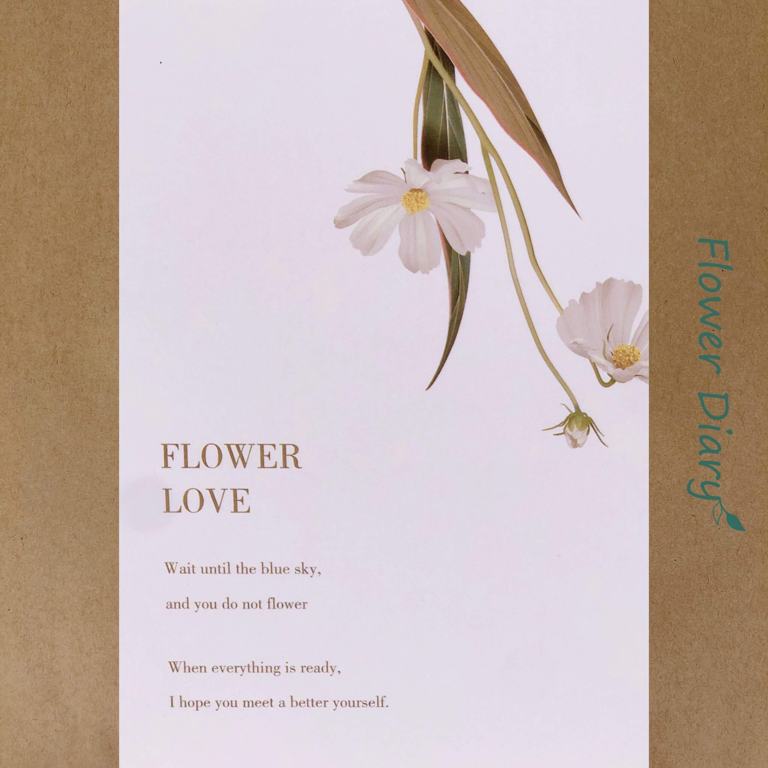 Thiệp chúc mừng 8.4x12.4cm