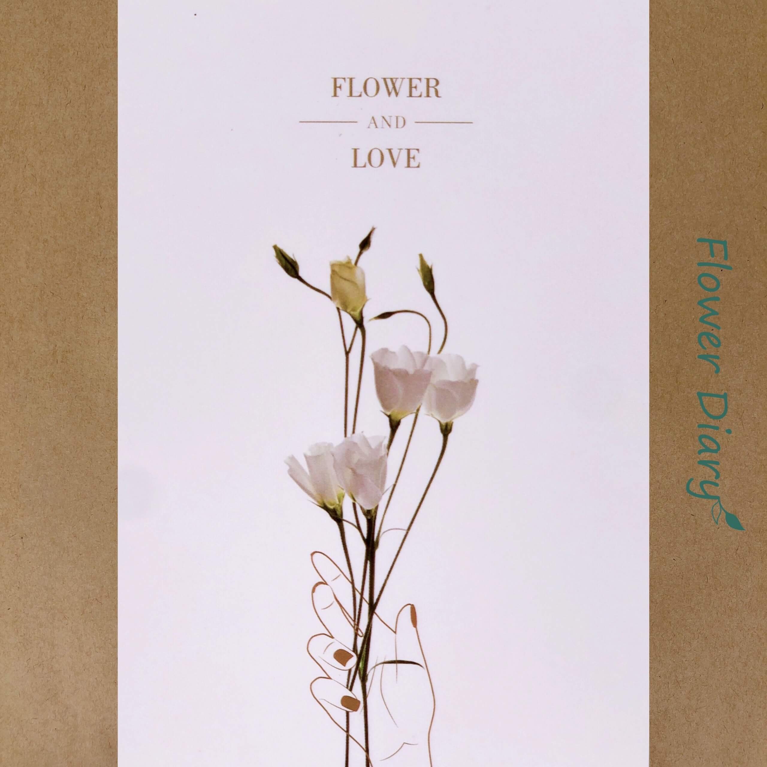 Thiệp chúc mừng 8.4x12.4cm