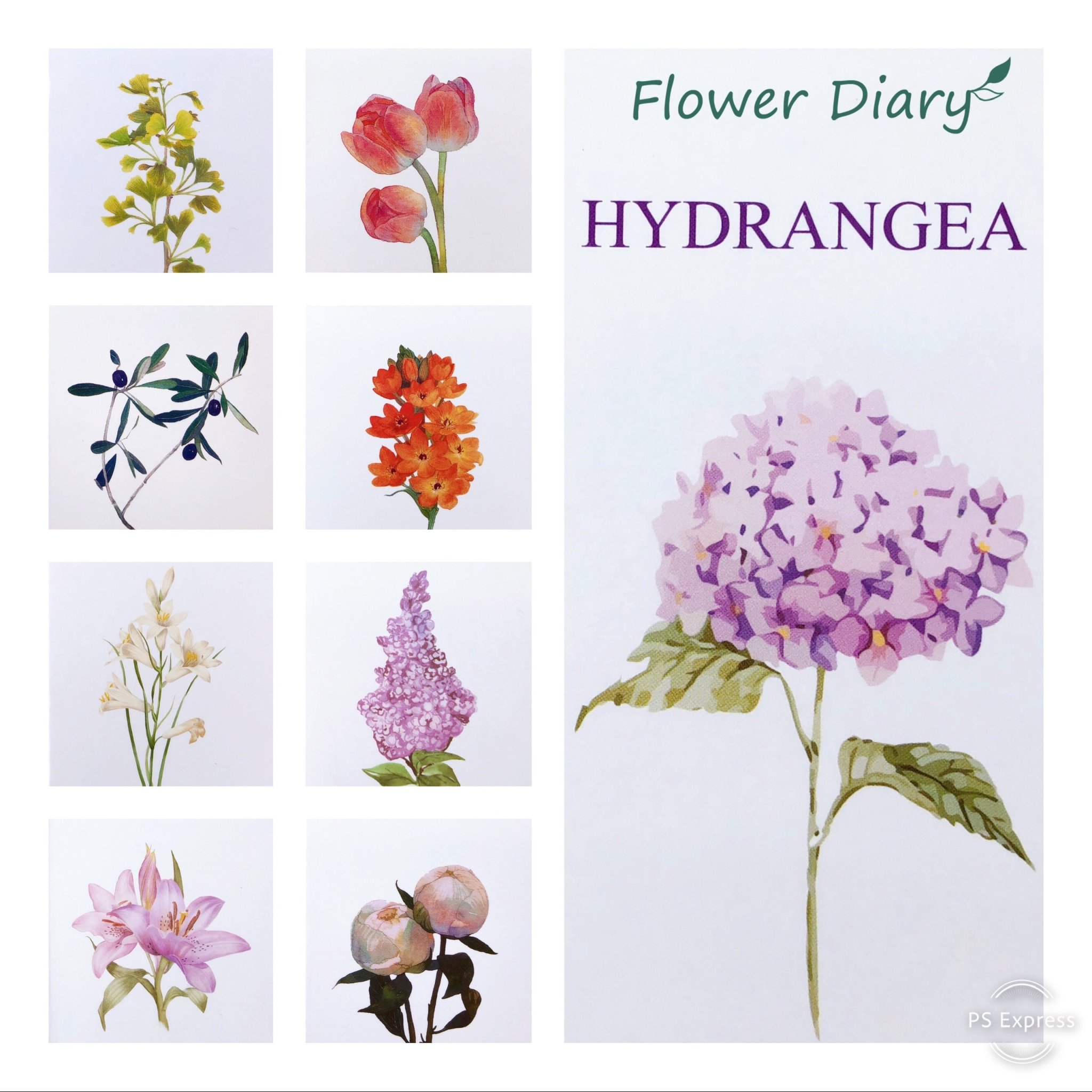 Thiệp chúc mừng 7.1x10.5cm