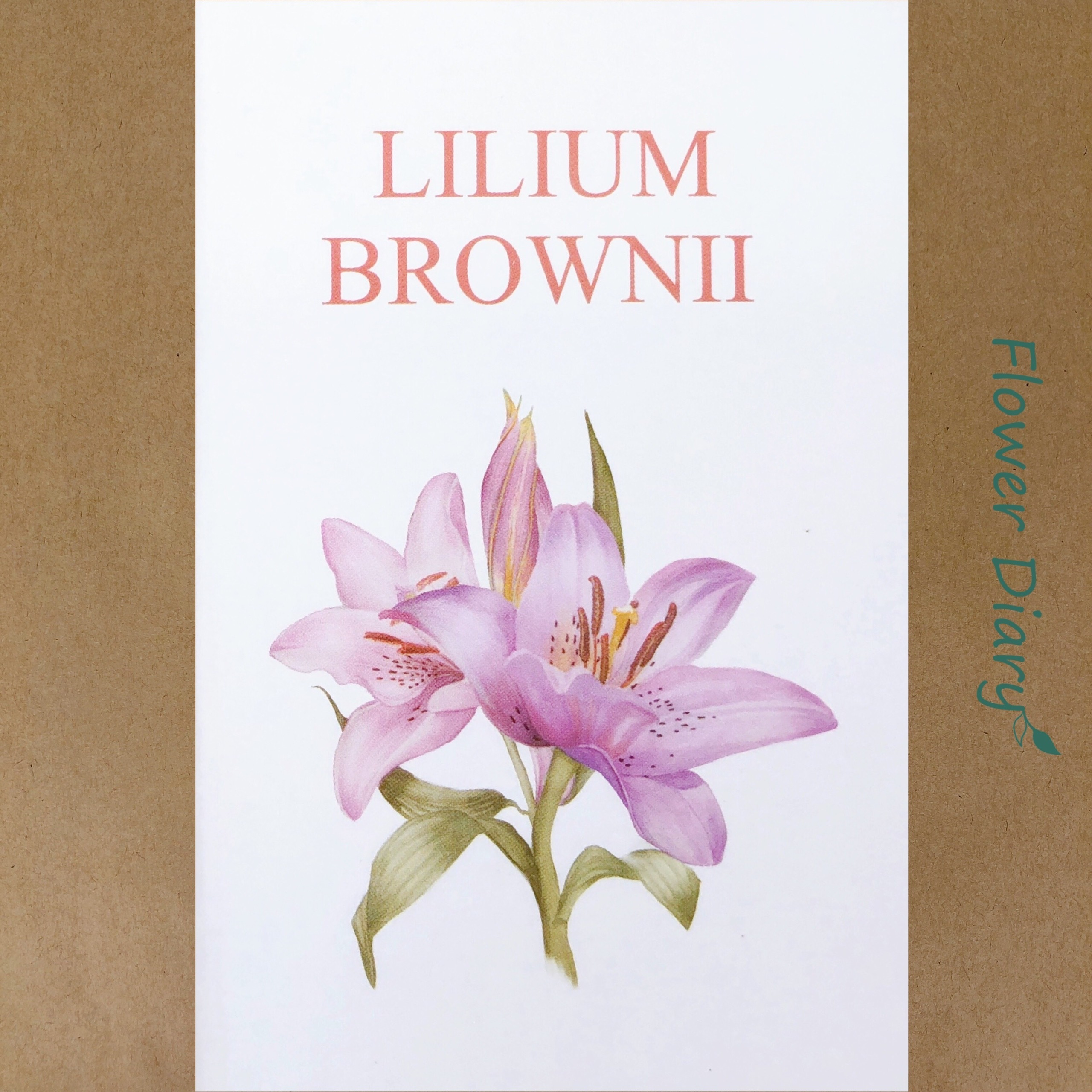 Thiệp chúc mừng 7.1x10.5cm