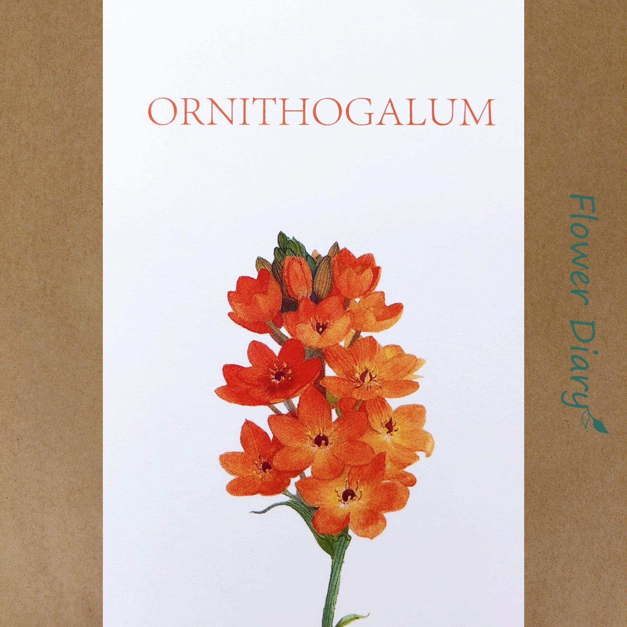 Thiệp chúc mừng 7.1x10.5cm