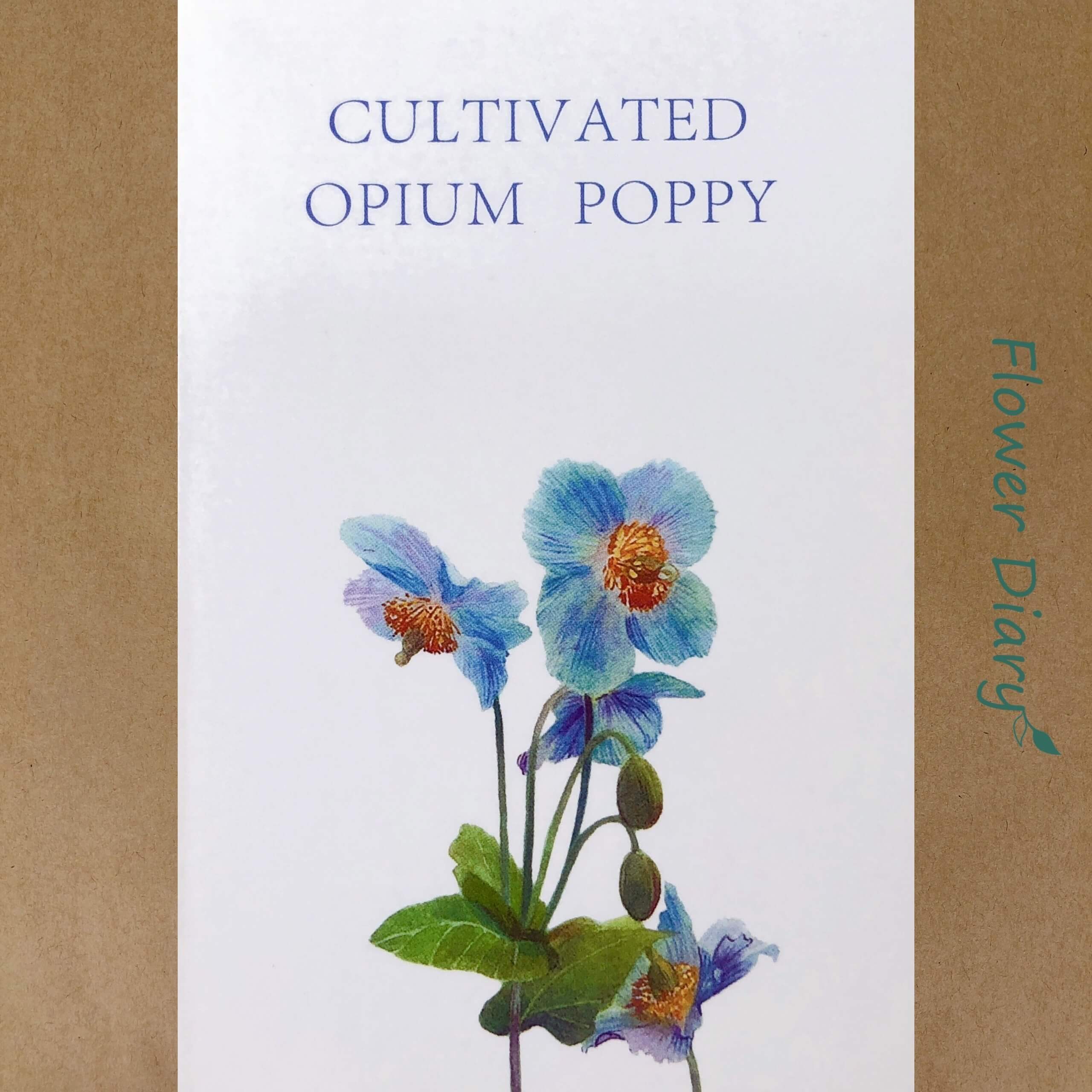 Thiệp chúc mừng 7.1x10.5cm