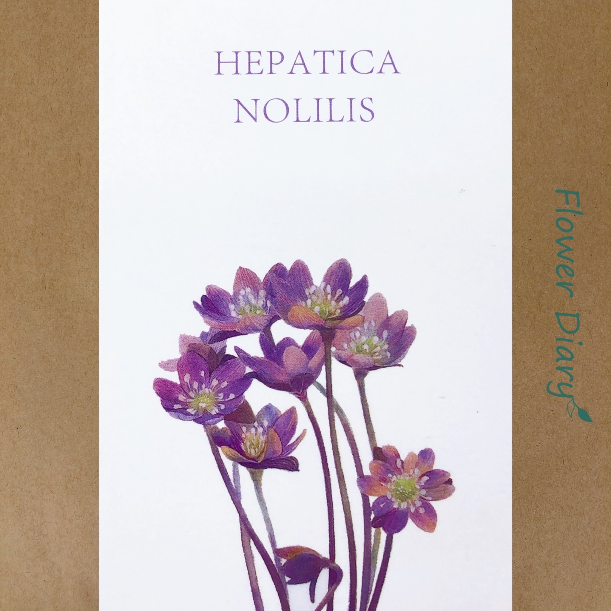 Thiệp chúc mừng 7.1x10.5cm