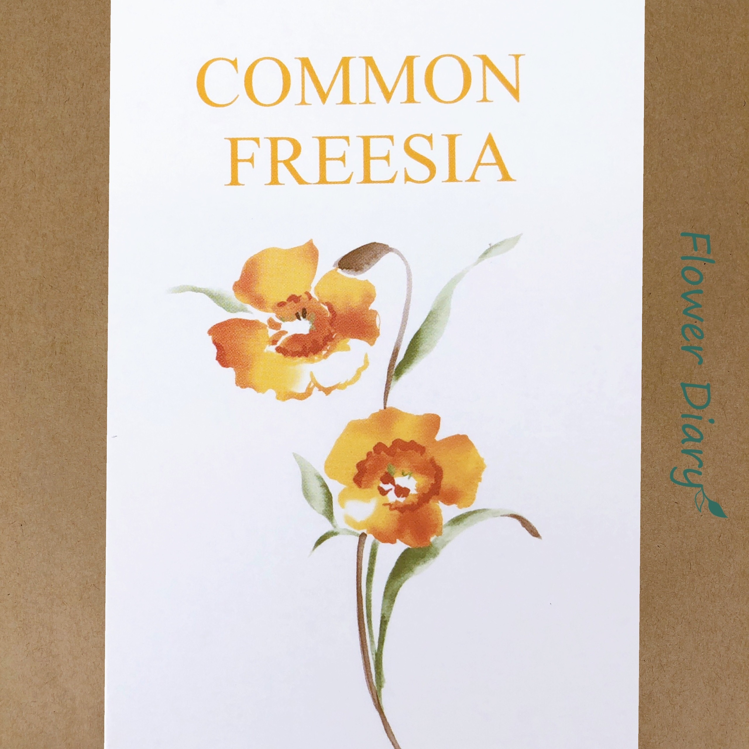 Thiệp chúc mừng 7.1x10.5cm