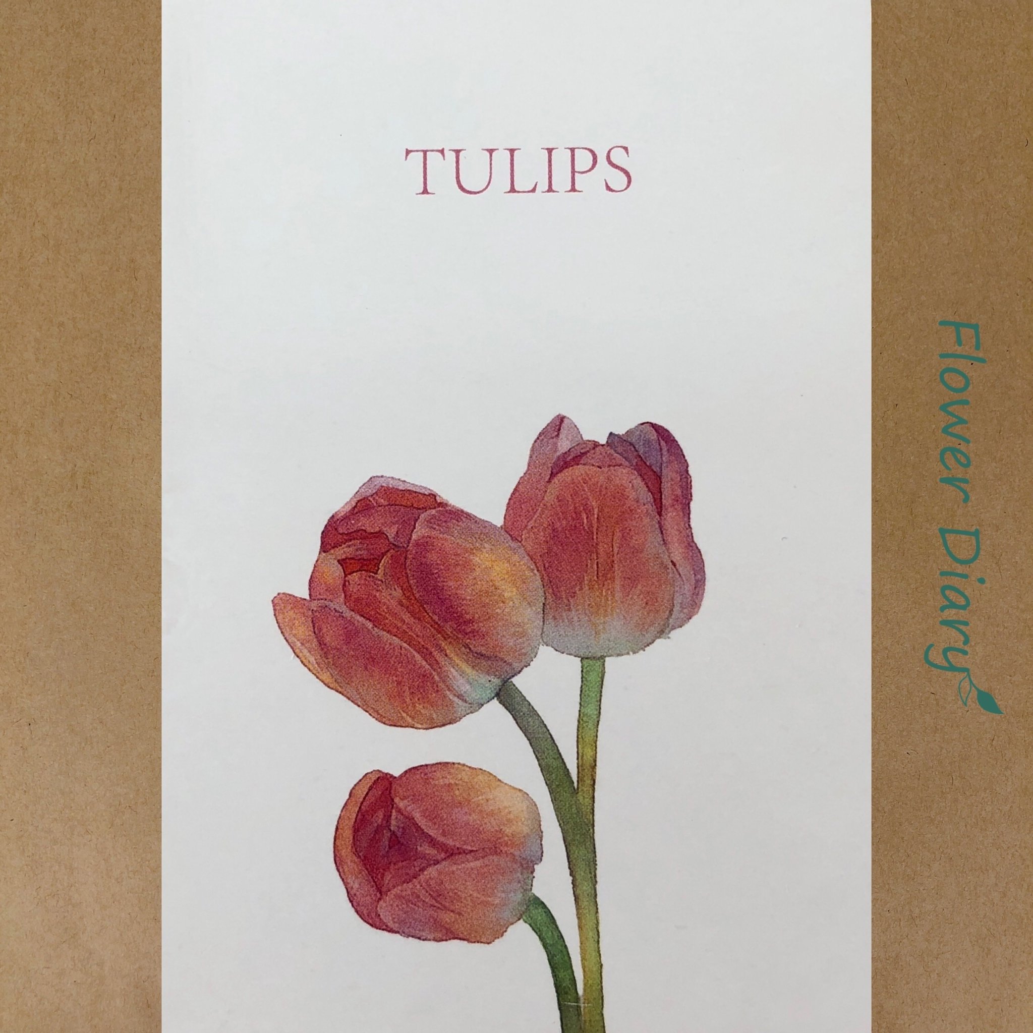 Thiệp chúc mừng 7.1x10.5cm