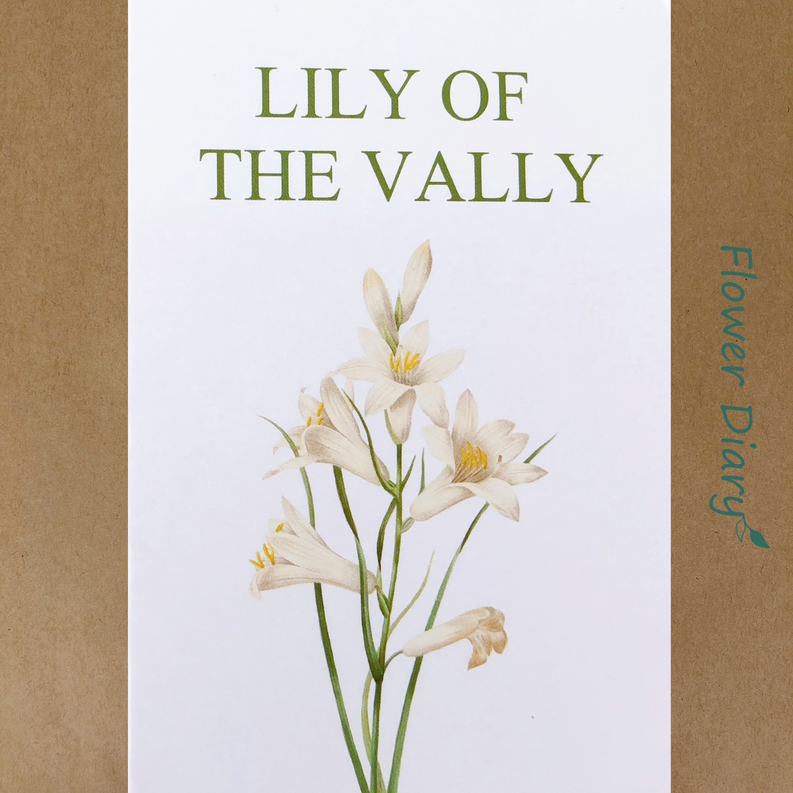 Thiệp chúc mừng 7.1x10.5cm