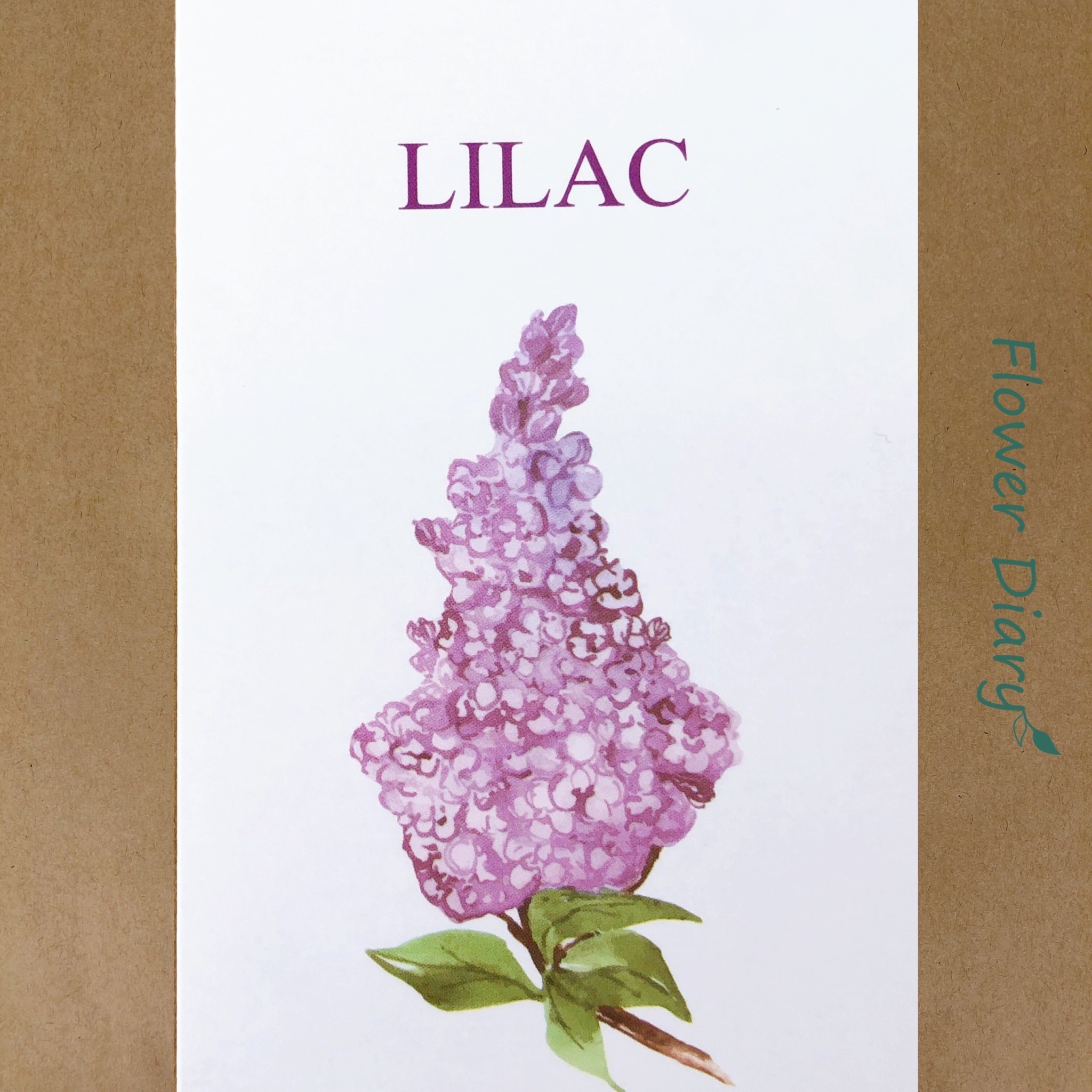 Thiệp chúc mừng 7.1x10.5cm