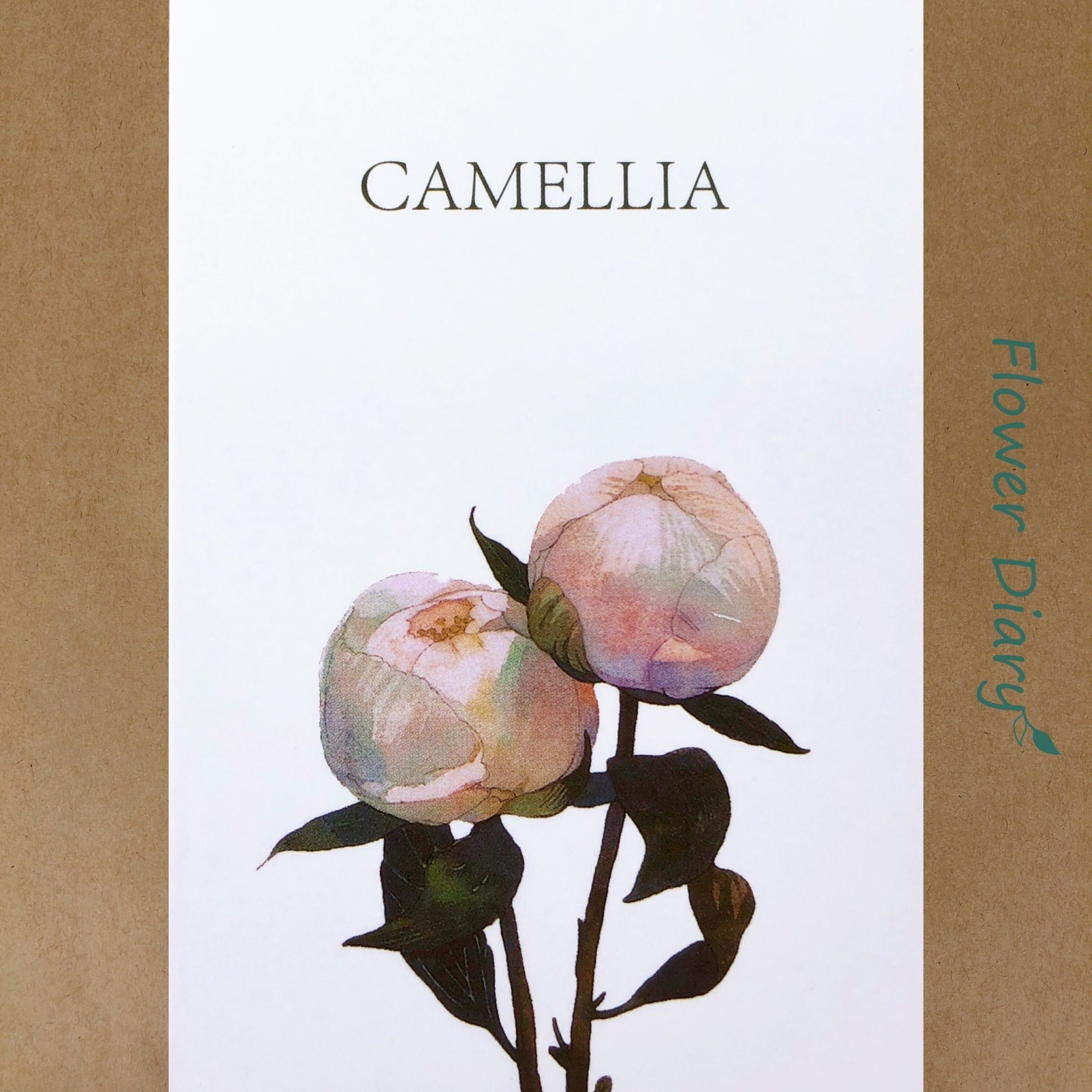 Thiệp chúc mừng 7.1x10.5cm