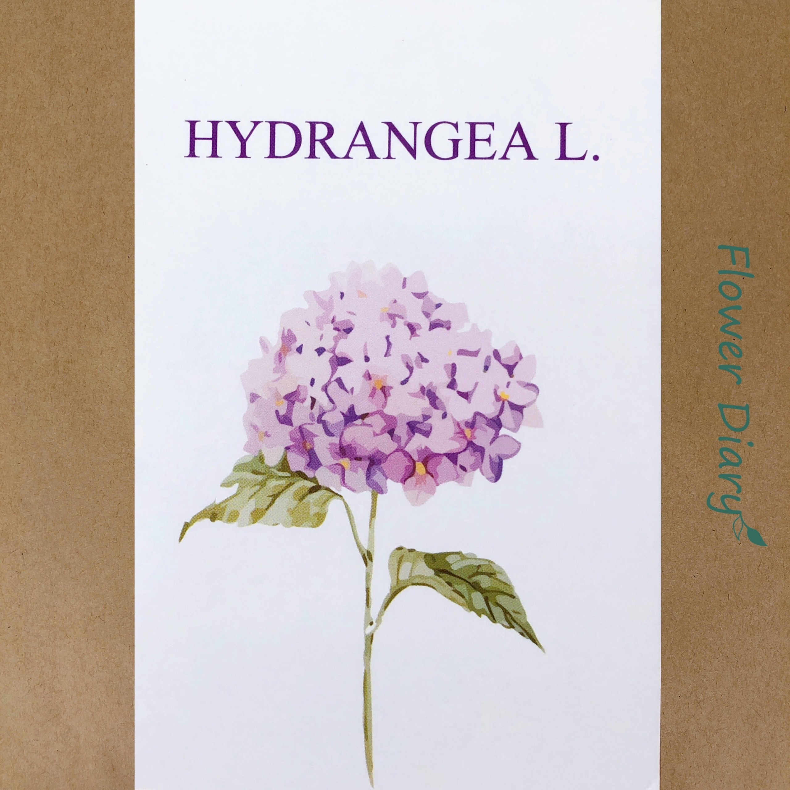 Thiệp chúc mừng 7.1x10.5cm