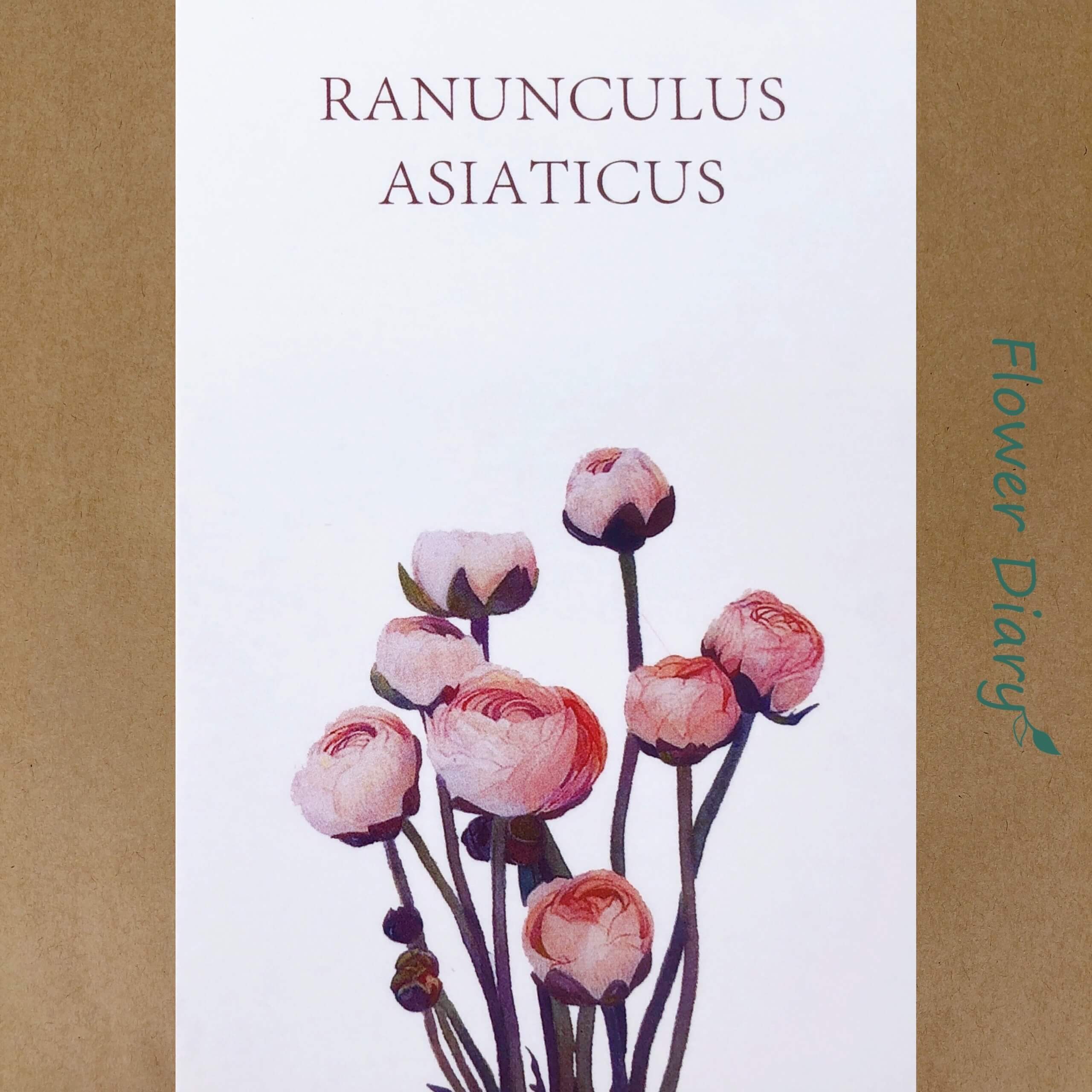 Thiệp chúc mừng 7.1x10.5cm