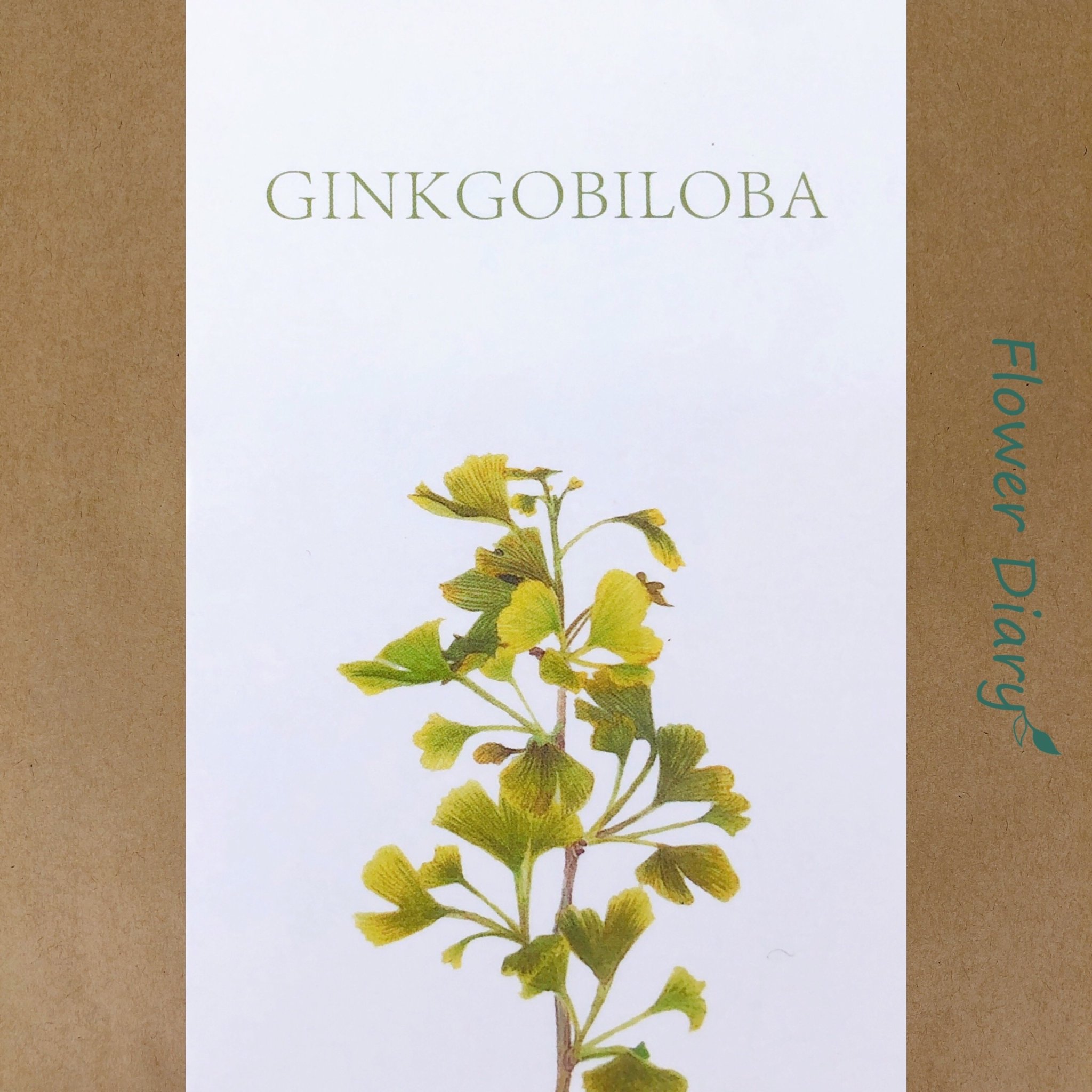 Thiệp chúc mừng 7.1x10.5cm