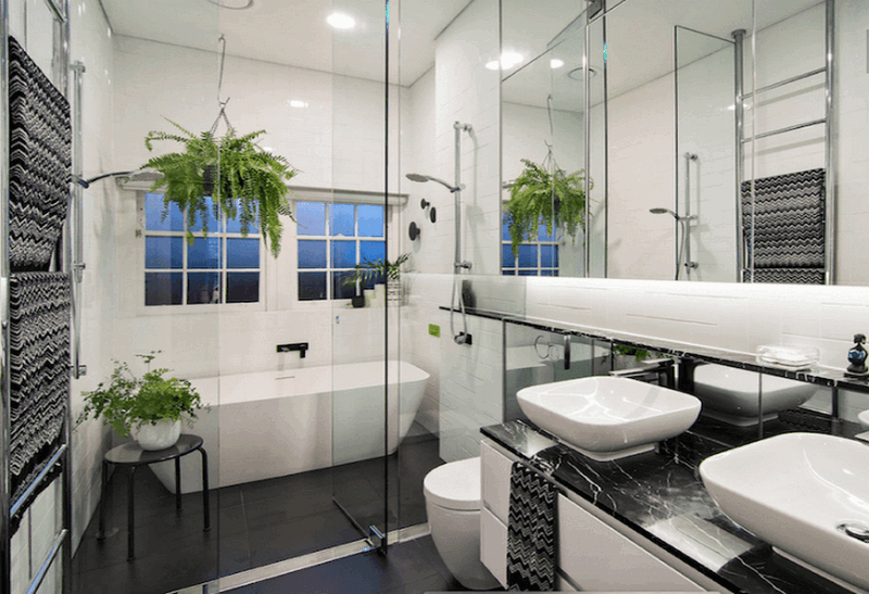 Cây dương xỉ rất dễ trồng kể cả đó là môi trường thiếu ánh sáng