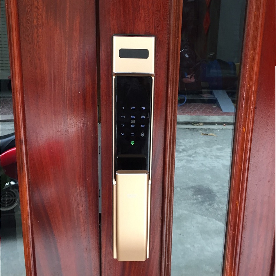 Kadol KD-M100F màu vàng lắp cửa gỗ 2 cánh