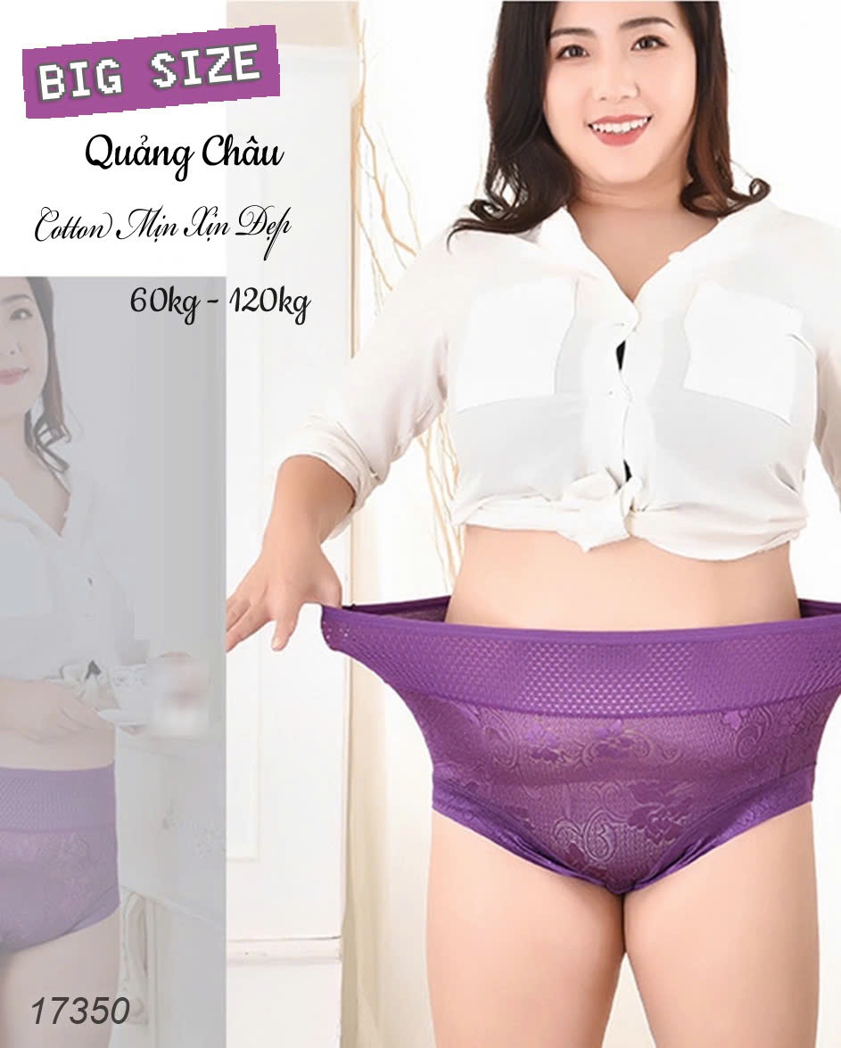 Quần lót chip BIG SIZE thun lưới ĐẠI 17350 TÍM