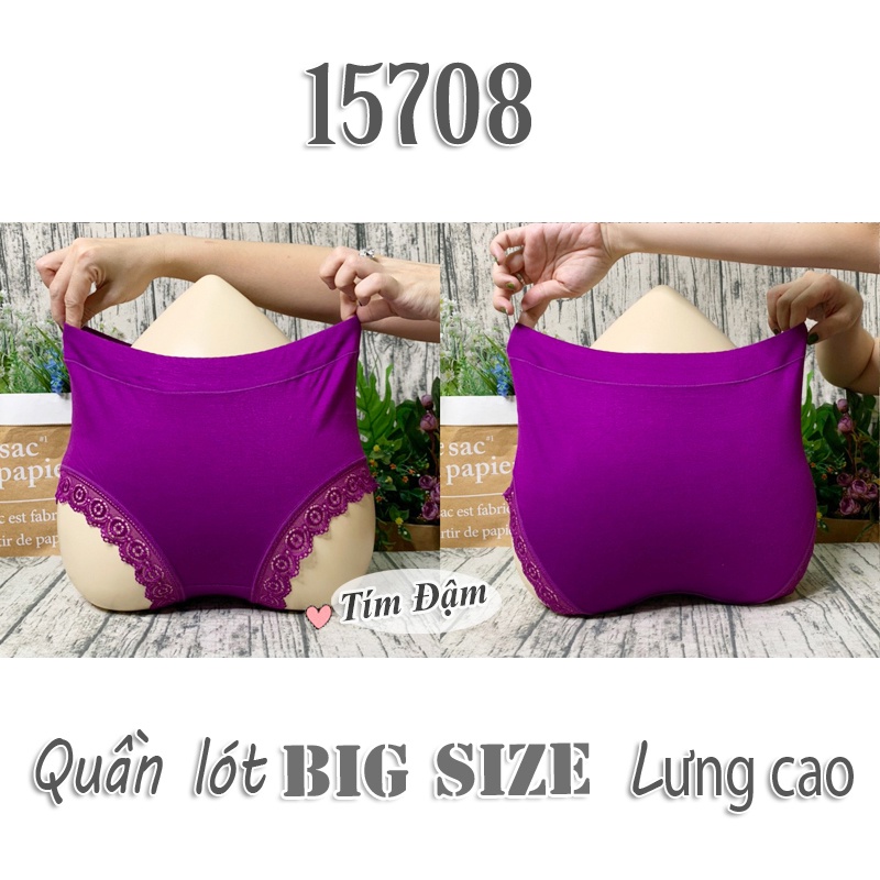 15708 Q.Lót LC lai Ren TÍM