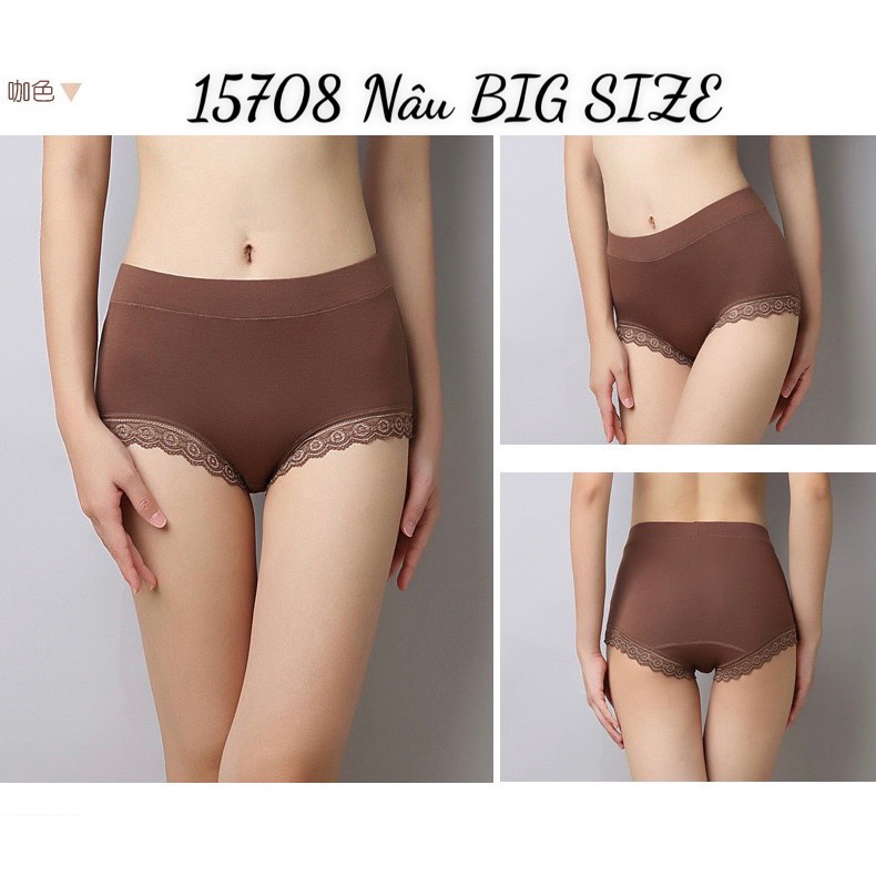 15708 Q.Lót LC lai Ren TÍM