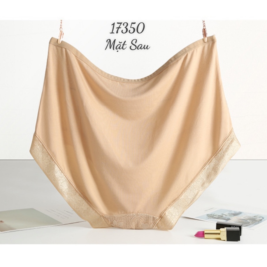 Quần lót chip BIG SIZE thun lưới ĐẠI 17350 DA