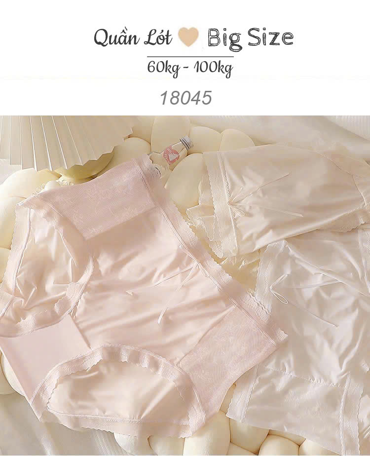 {100kg vừa} Quần lót chip BIGSIZE Quảng Châu cạp cao, lưng thun, tàng hình chống lộ viền - 18045 DA