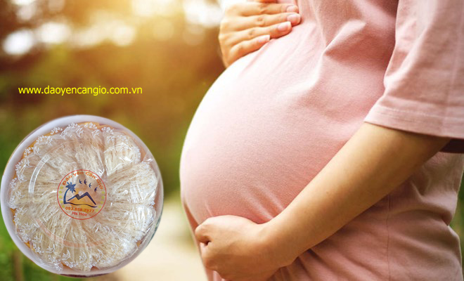 Bầu mấy tháng ăn được yến?