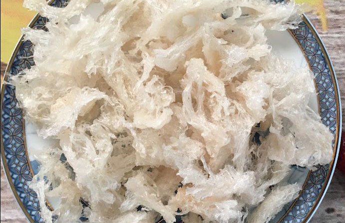 Chân yến là gì?